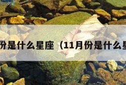 6月份是什么星座（11月份是什么星座）