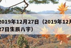 2019年12月27日（2019年12月27日生辰八字）