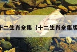 十二生肖全集（十二生肖全集版）