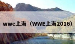 wwe上海（WWE上海2016）