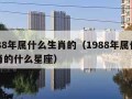 1988年属什么生肖的（1988年属什么生肖的什么星座）