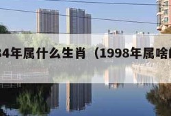 1984年属什么生肖（1998年属啥的生肖）