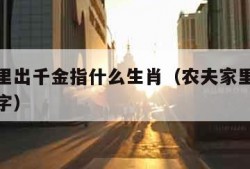 农夫家里出千金指什么生肖（农夫家里出千金打一数字）