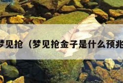 梦见抢（梦见抢金子是什么预兆）