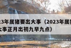 2023年属猪要出大事（2023年属猪要出大事正月出初九早九点）