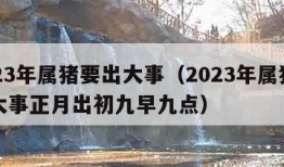 2023年属猪要出大事（2023年属猪要出大事正月出初九早九点）