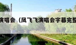 凤飞飞演唱会（凤飞飞演唱会字幕完整版免费观看）