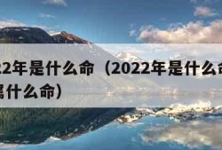 2022年是什么命（2022年是什么命五行属什么命）