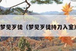 梦见歹徒（梦见歹徒持刀入室）