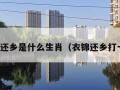 衣锦还乡是什么生肖（衣锦还乡打一字）