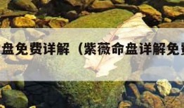 紫薇命盘免费详解（紫薇命盘详解免费版APP）