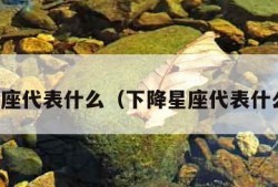 下降星座代表什么（下降星座代表什么意思）