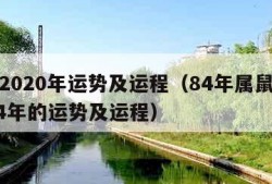 属鼠2020年运势及运程（84年属鼠的人2024年的运势及运程）