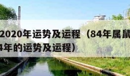 属鼠2020年运势及运程（84年属鼠的人2024年的运势及运程）