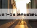 光阴似箭打一生肖（光阴似箭猜什么生肖）