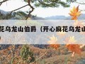 开心麻花乌龙山伯爵（开心麻花乌龙山伯爵在线观看）