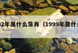 2002年属什么生肖（1999年属什么生肖）