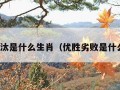 优胜劣汰是什么生肖（优胜劣败是什么生肖）