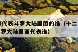 12星座代表斗罗大陆里面的谁（十二星座分别是斗罗大陆里面代表谁）