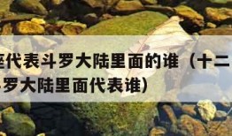 12星座代表斗罗大陆里面的谁（十二星座分别是斗罗大陆里面代表谁）