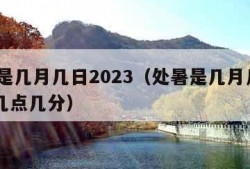 处暑是几月几日2023（处暑是几月几日2023几点几分）