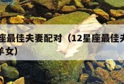 12星座最佳夫妻配对（12星座最佳夫妻配对白羊女）