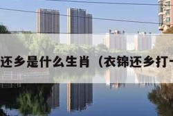 衣锦还乡是什么生肖（衣锦还乡打一字）