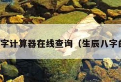 生辰八字计算器在线查询（生辰八字的计算）