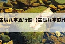 免费测生辰八字五行缺（生辰八字缺什么对照表）