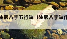 免费测生辰八字五行缺（生辰八字缺什么对照表）