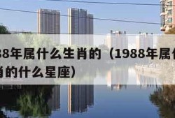 1988年属什么生肖的（1988年属什么生肖的什么星座）