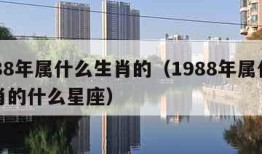 1988年属什么生肖的（1988年属什么生肖的什么星座）