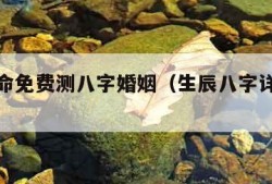 八字算命免费测八字婚姻（生辰八字详解免费版）